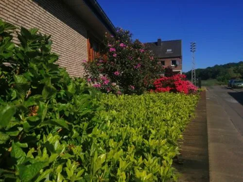 Vorgarten Foto Stadt Hueckelhoven