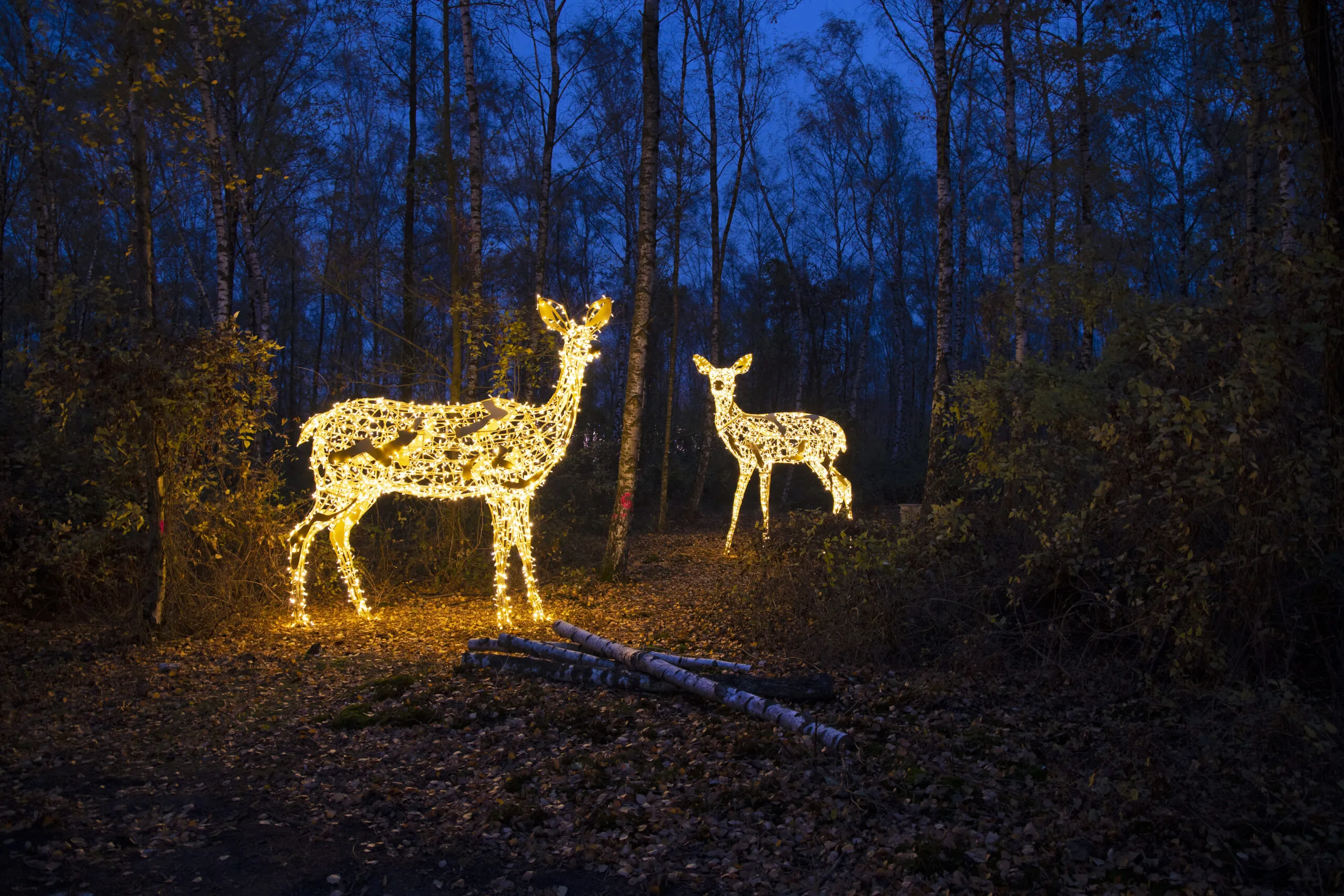 5 Jahre Lichterfest auf der Millicher Halde – der Haldenzauber – von 2018 bis 2023 da sperfekte Vorweihnachtserlebnis für Groß und Klein.