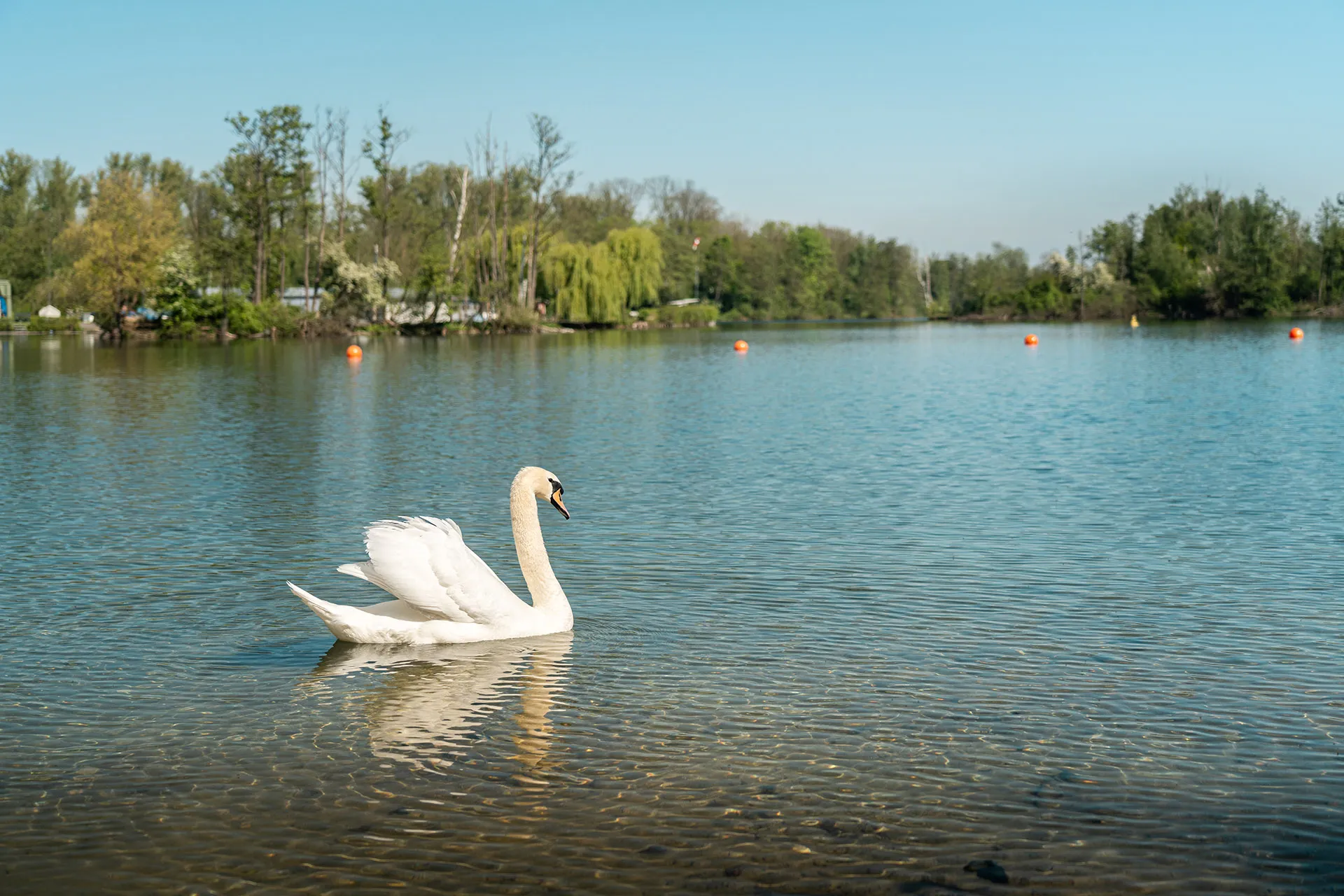 Haben wir schon über Wasser gesprochen? Hier kann man drin baden – das Naturfreibad Kapbusch in Brachelen.