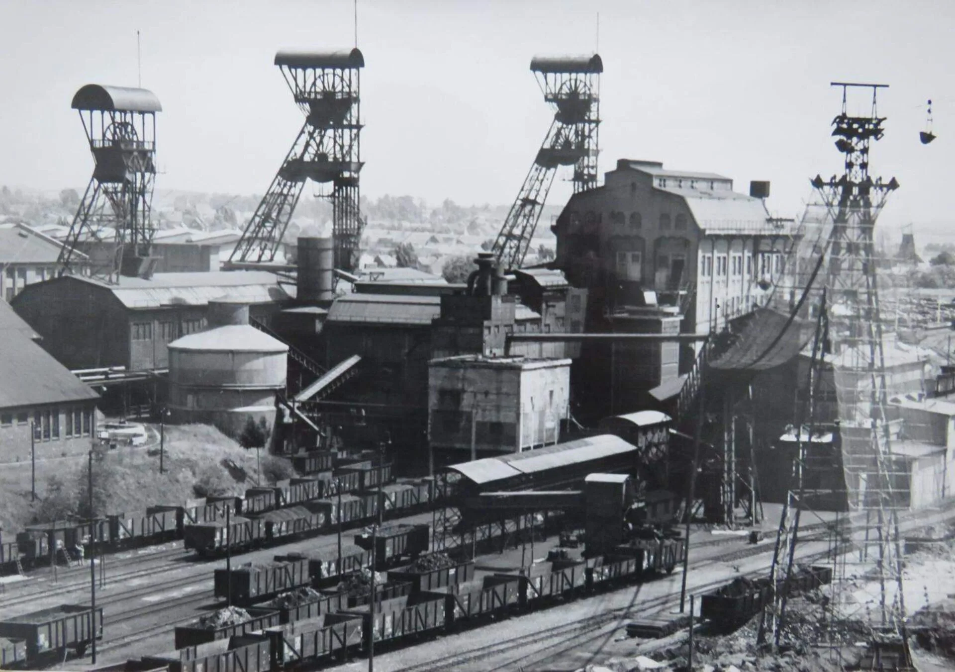 Sophia Jacoba 1930er