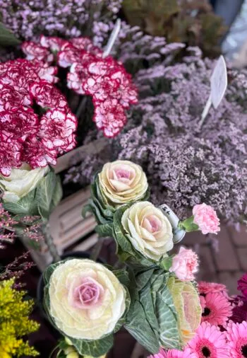 Erster Wochenmarkt 2026