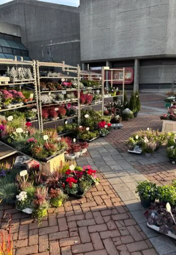 Wochenmarkt auf dem Hartlepooler Platz