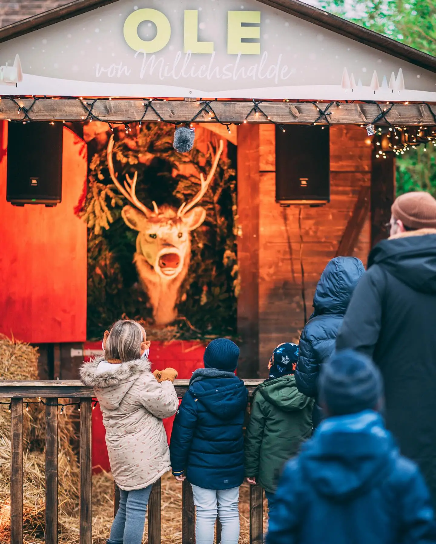 Ole von Millichshalde