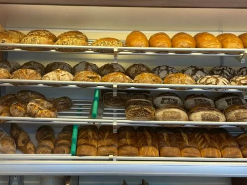 Felix Backhandwerk Scaled