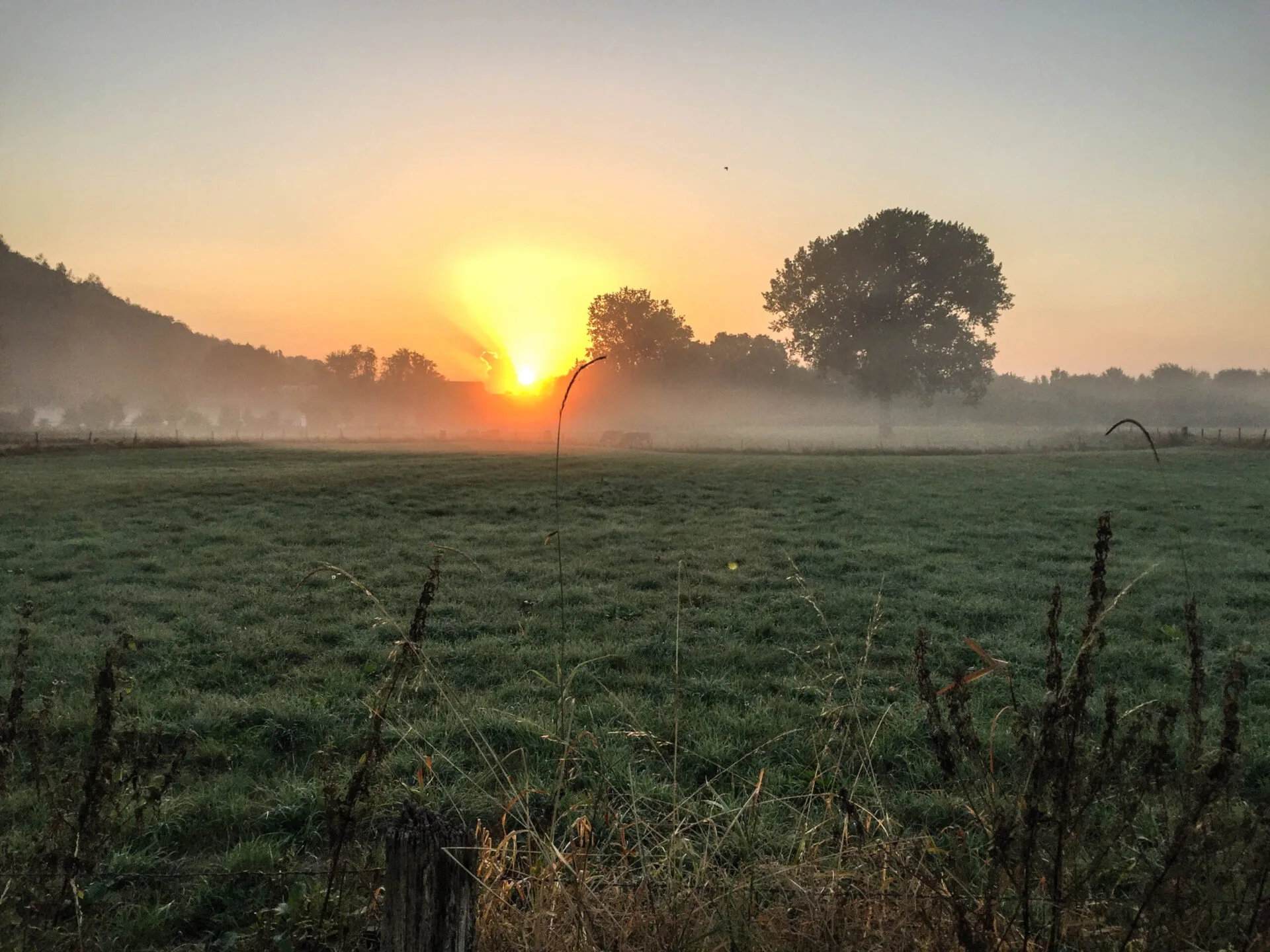 Heimat Rurauen Nebel