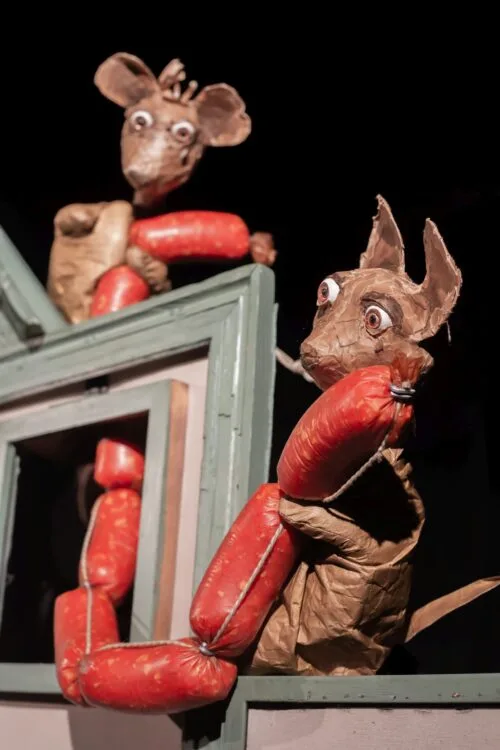 Frederik ©Sandra Hermannsen