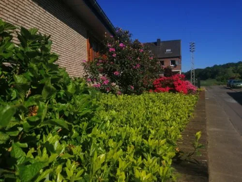 Vorgarten ©Stadt Hückelhoven