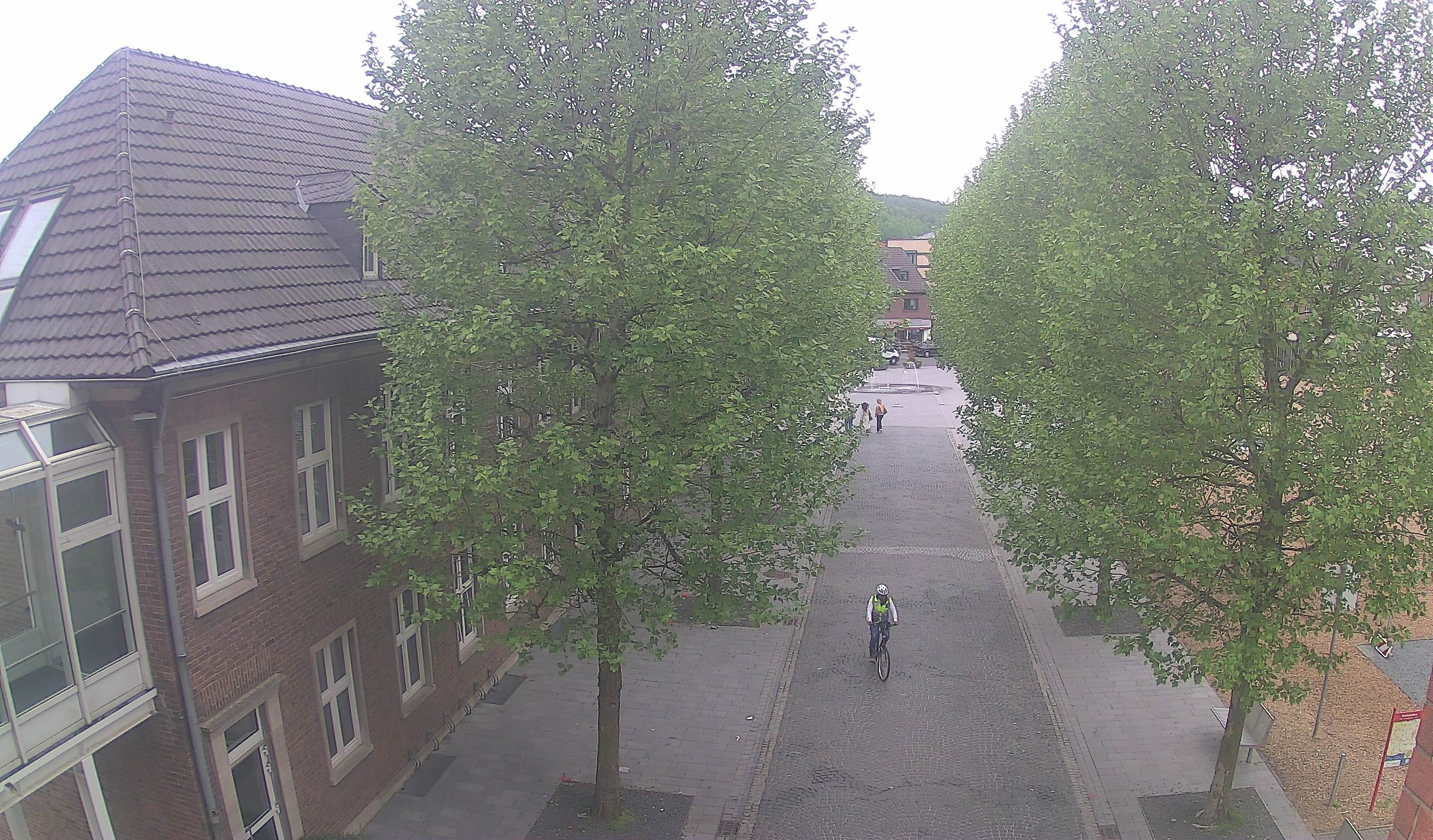 Webcam 3