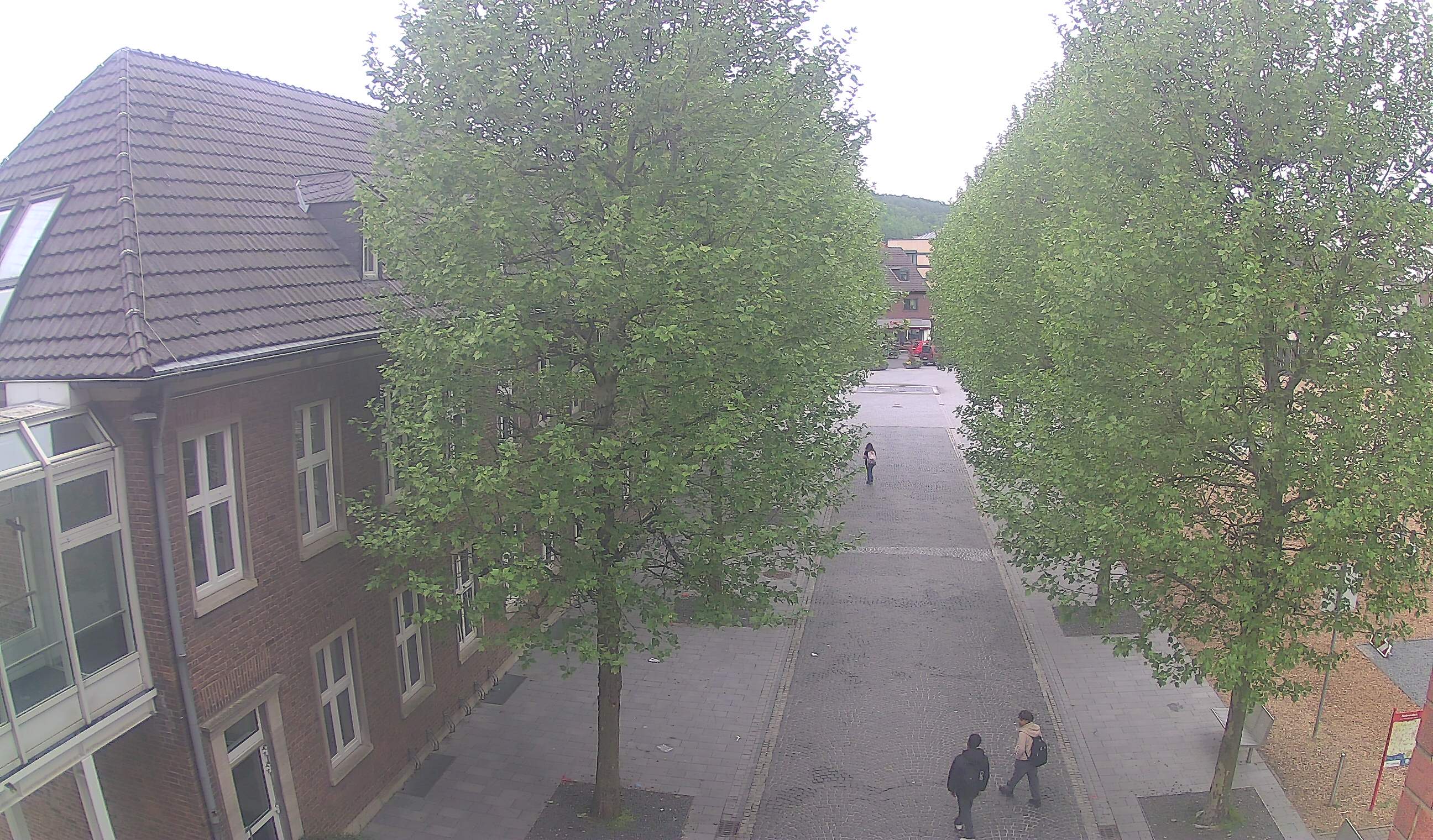 Webcam 3