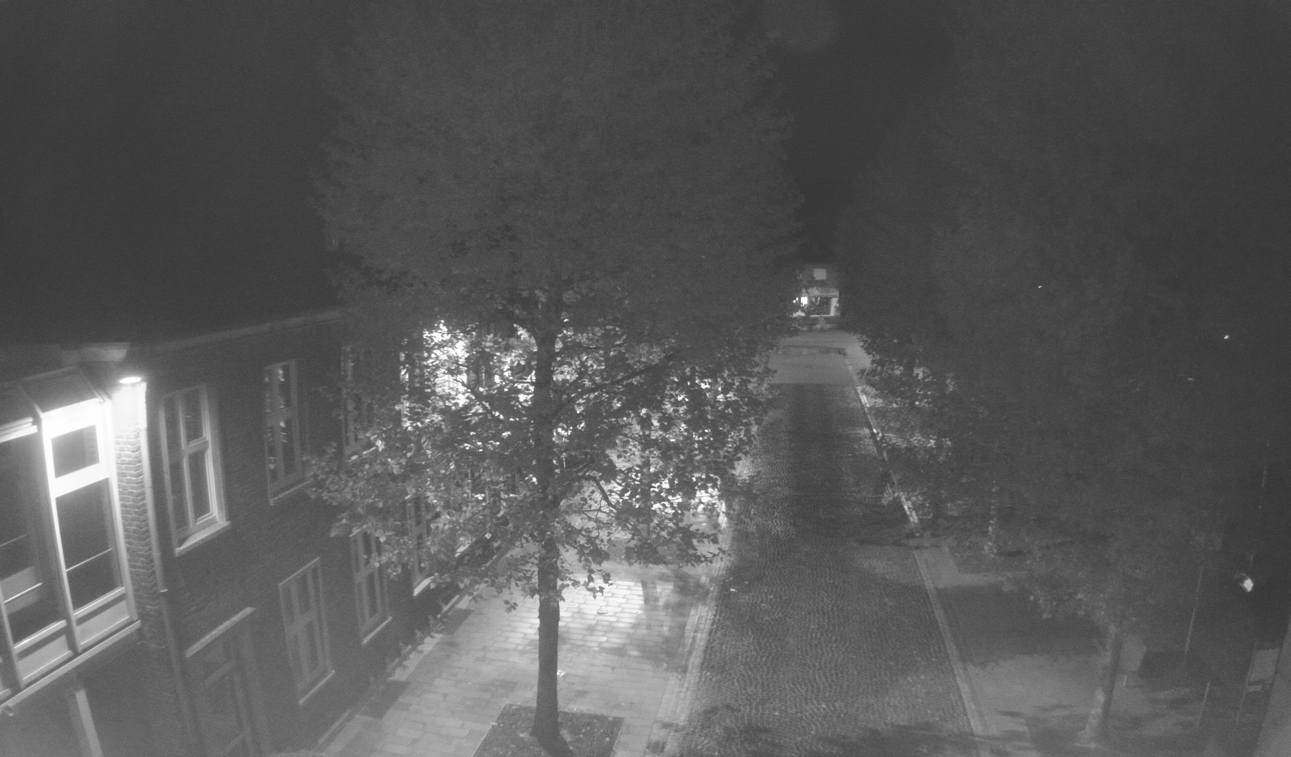 Webcam 3