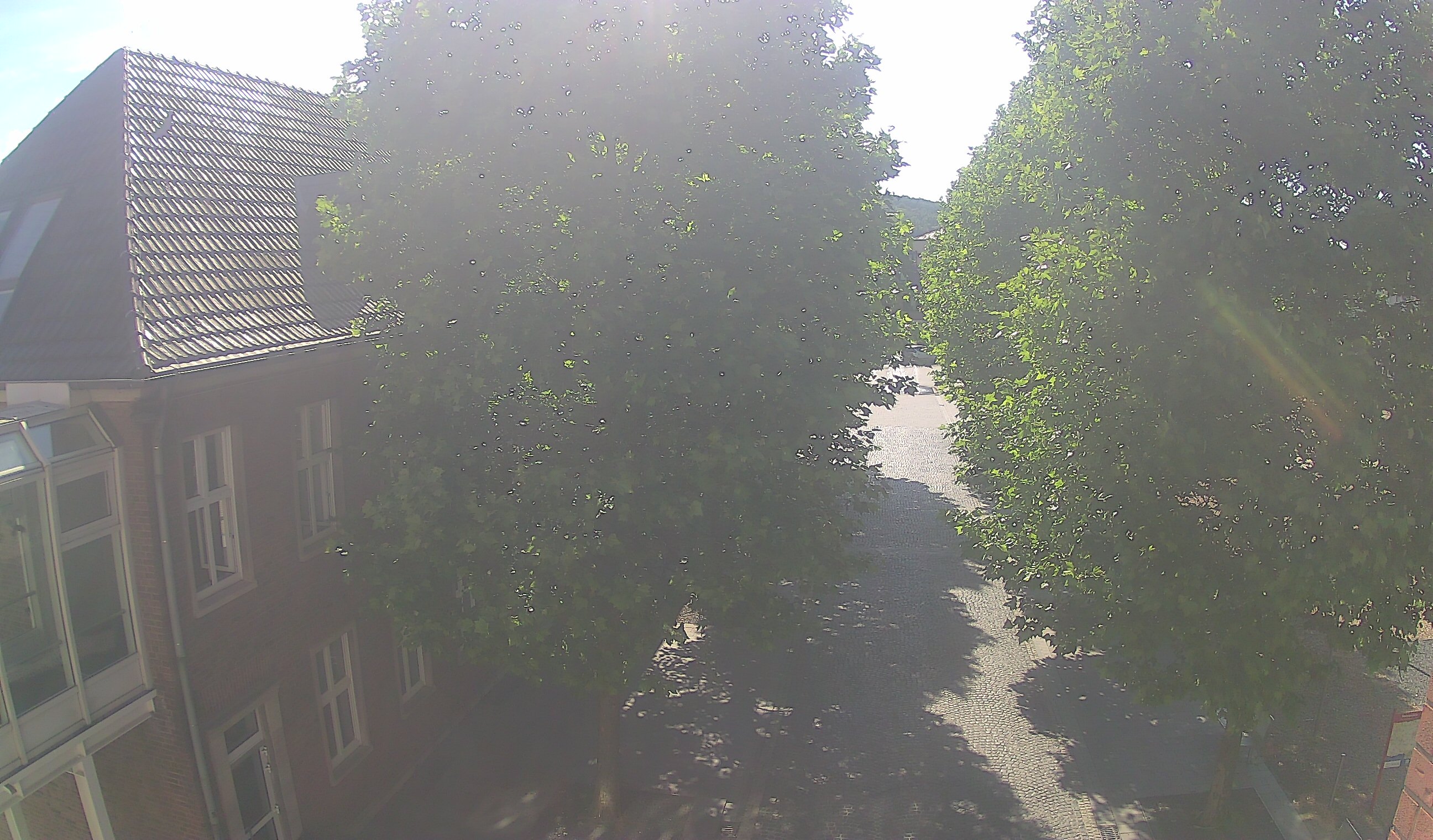 Webcam 3