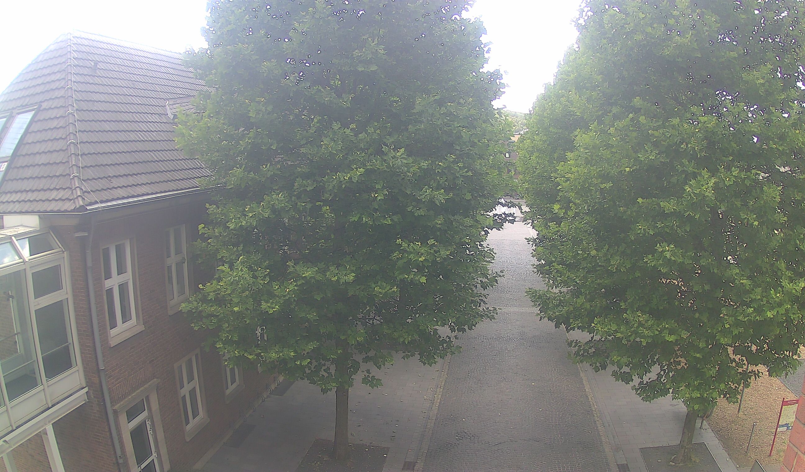 Webcam 3