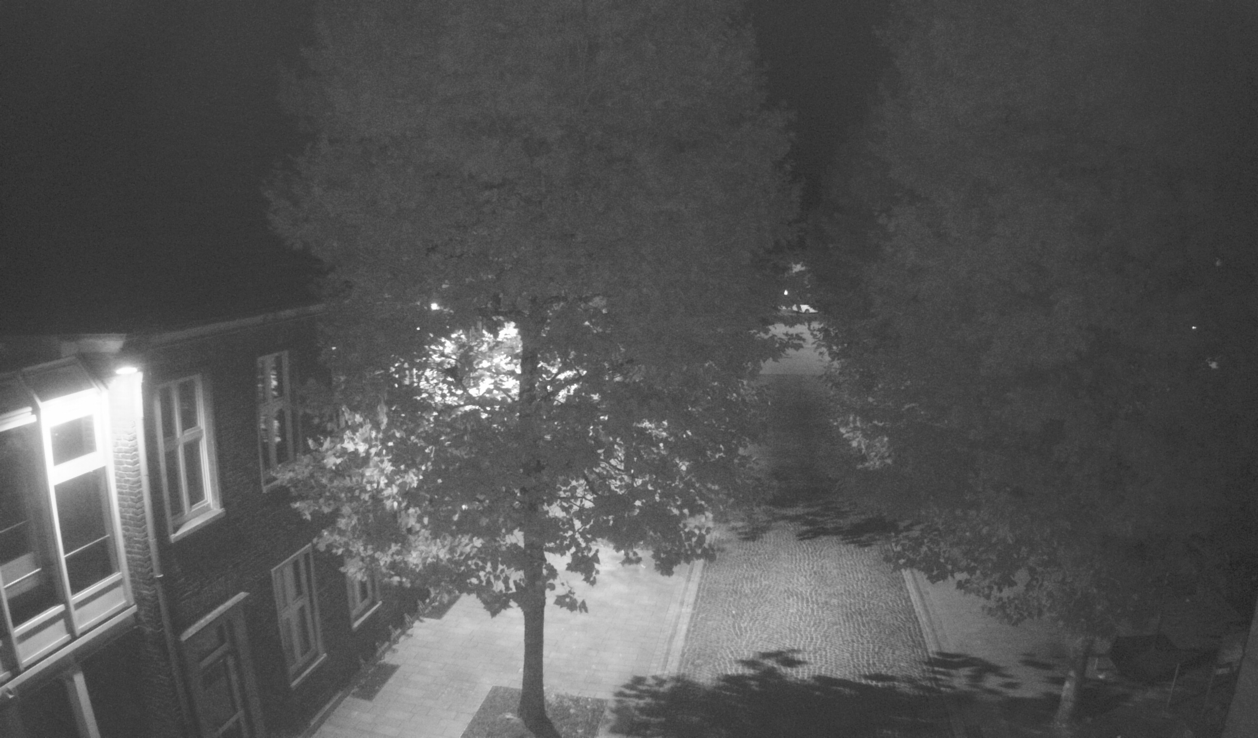 Webcam 3