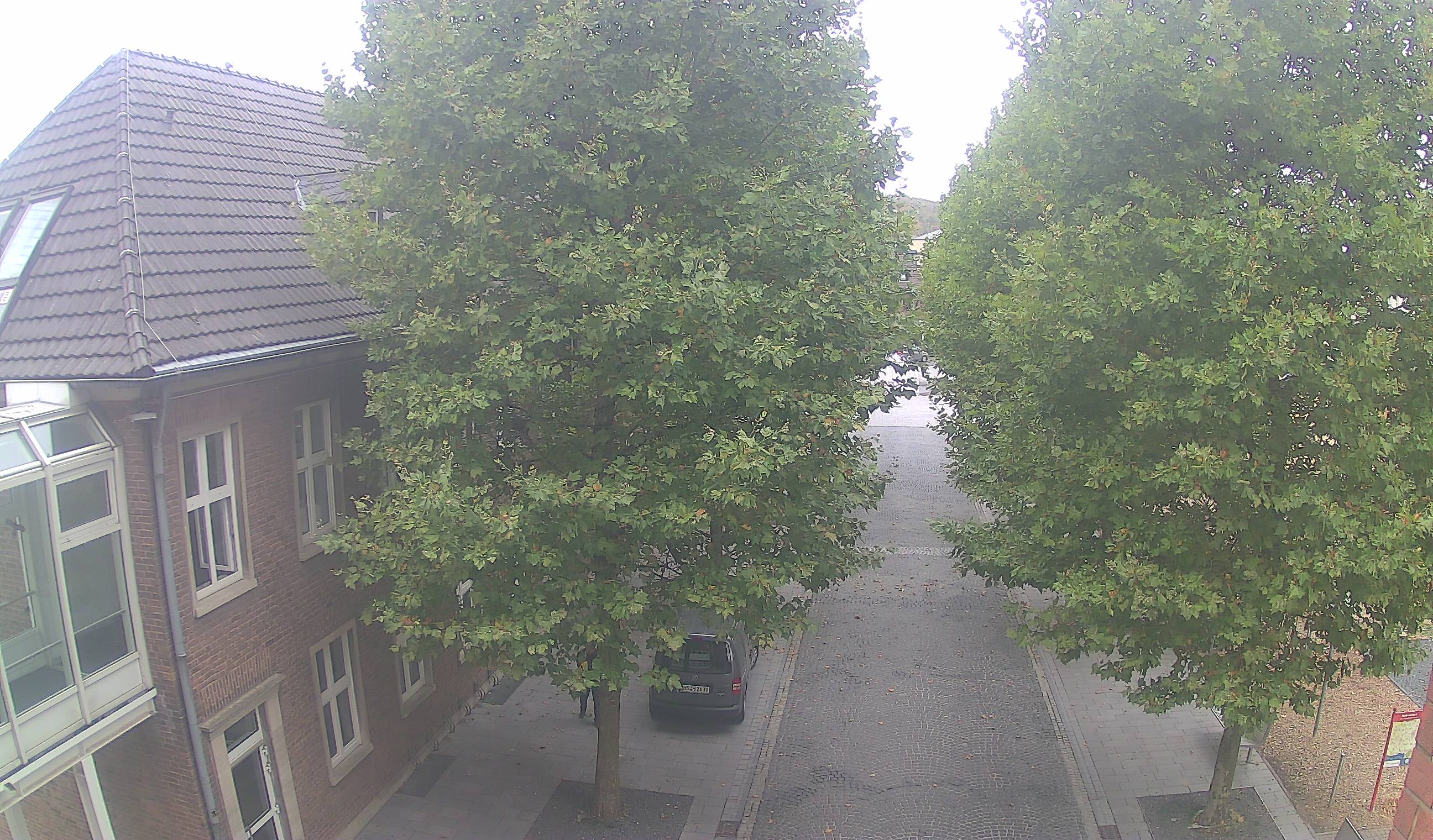 Webcam 3