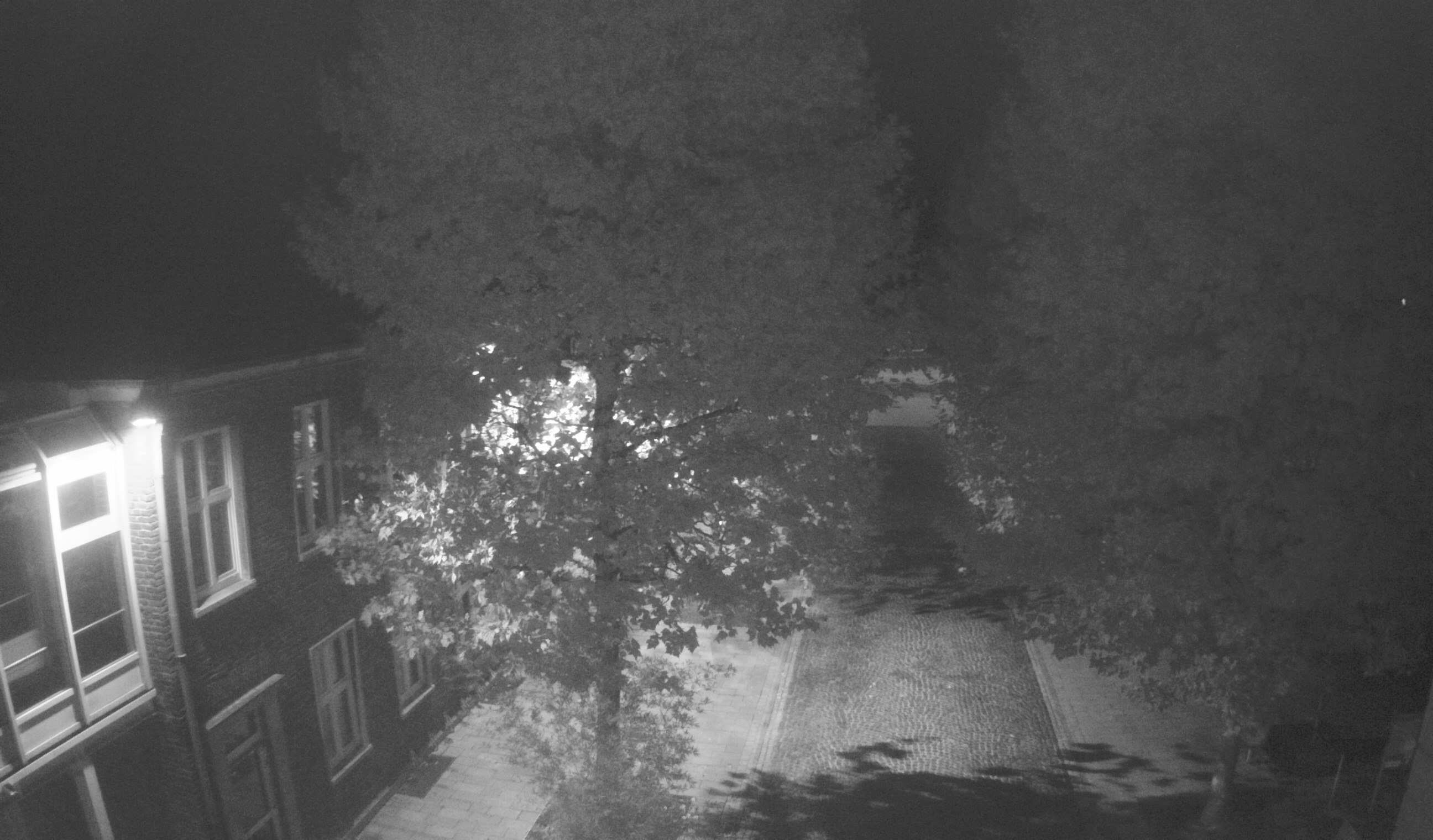 Webcam 3