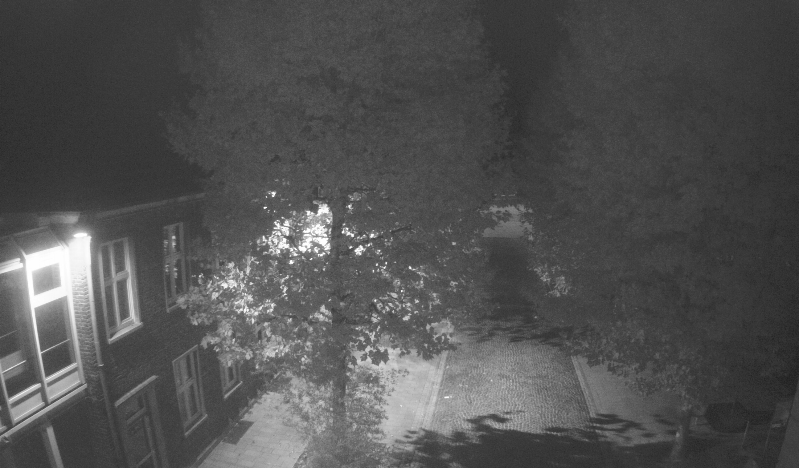 Webcam 3