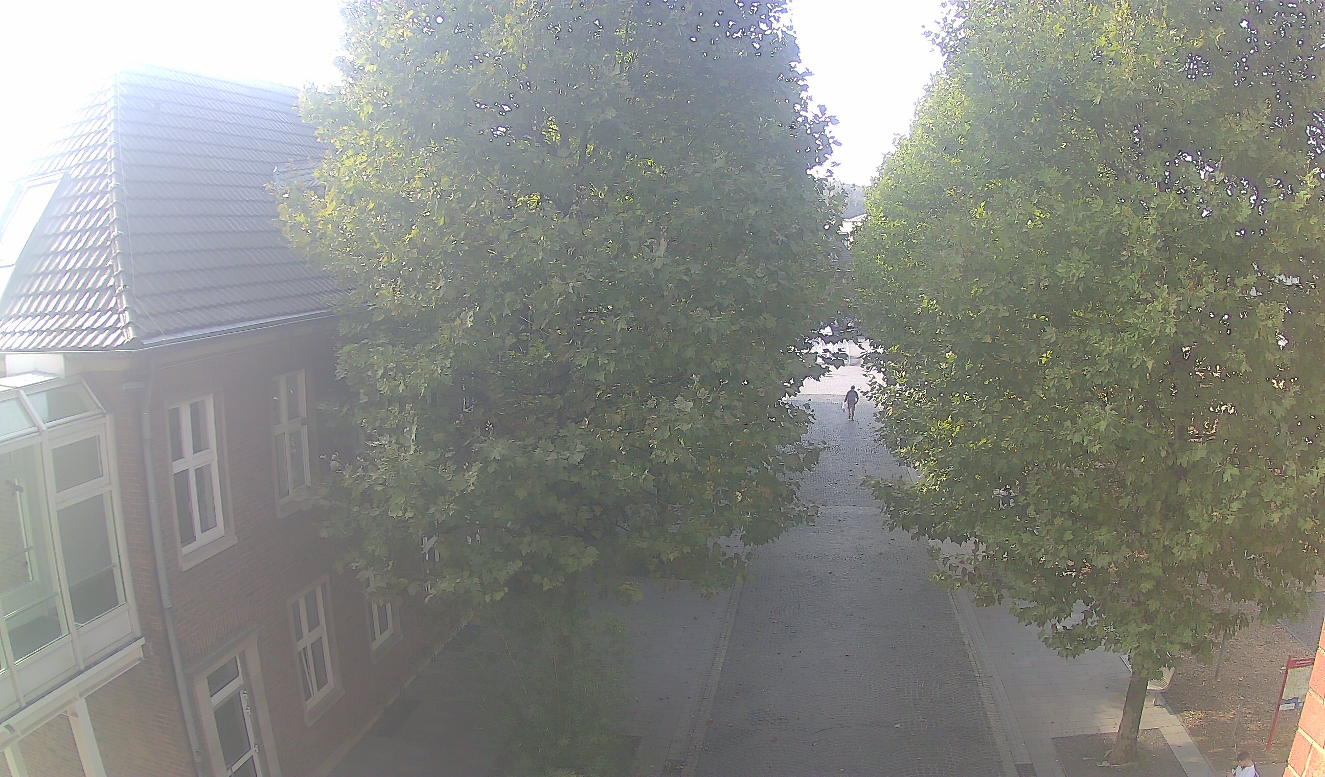 Webcam 3